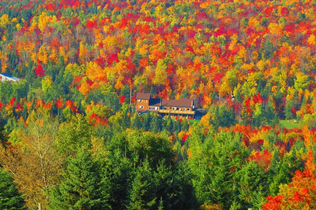 Le Gite Ambrelane Thetford Mines Exterior foto