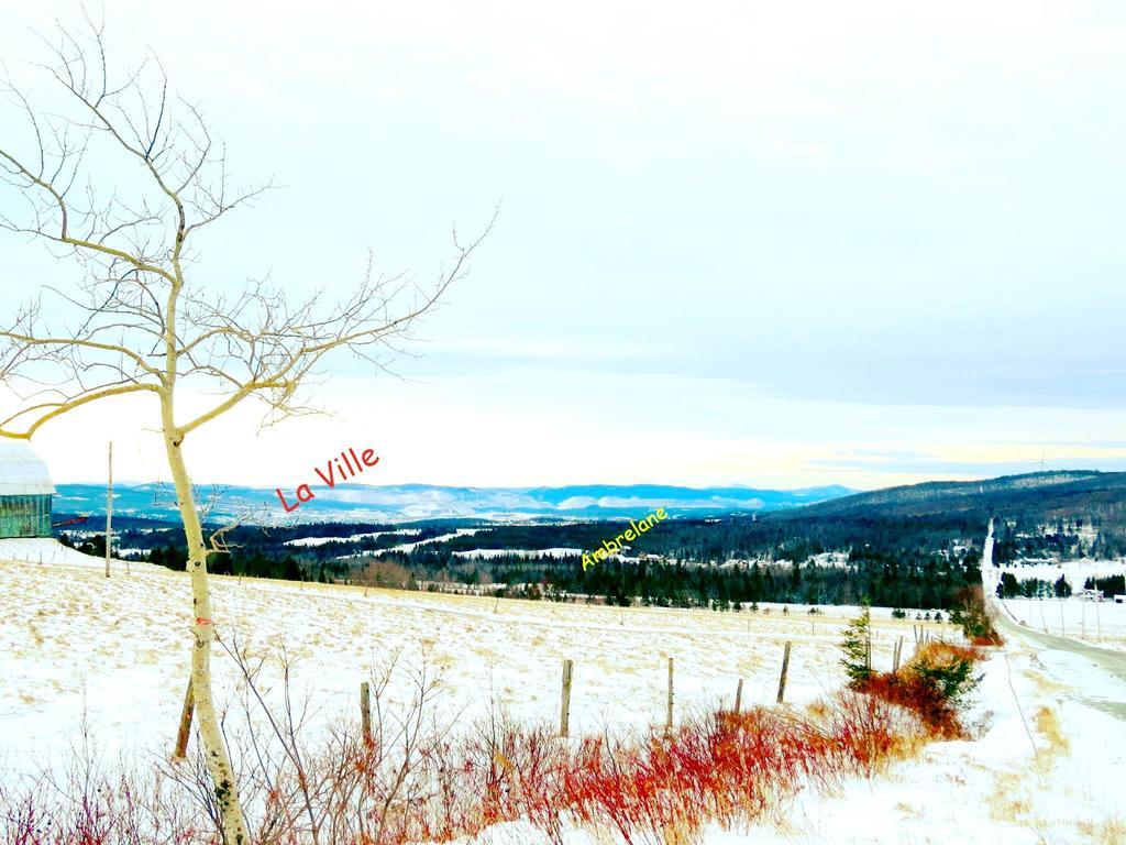 Le Gite Ambrelane Thetford Mines Exterior foto
