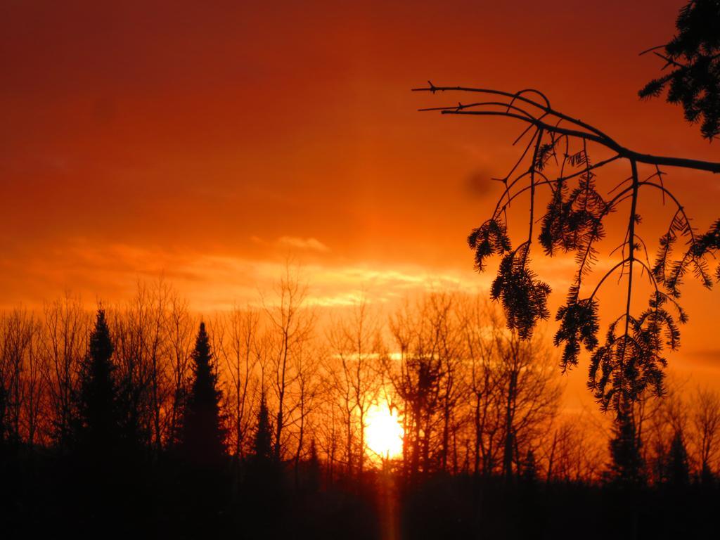 Le Gite Ambrelane Thetford Mines Exterior foto