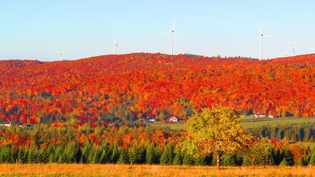 Le Gite Ambrelane Thetford Mines Exterior foto
