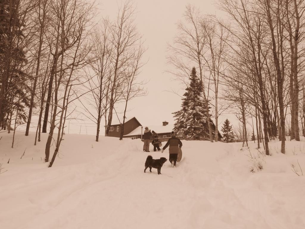 Le Gite Ambrelane Thetford Mines Exterior foto